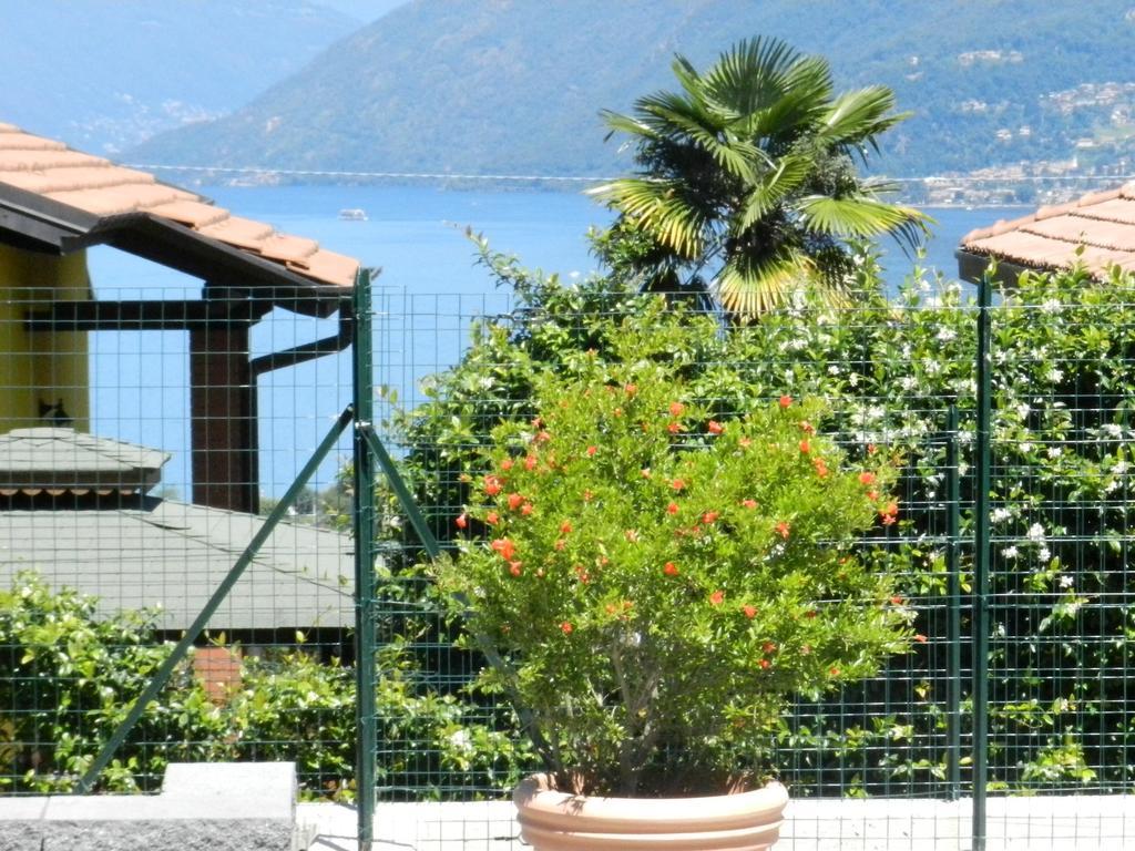 Apartamento Casa Elena 1 Germignaga Exterior foto